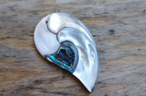Pandantiv paua abalone, 58x33x5 mm