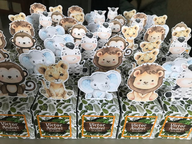 Cutii mărturii botez Safari