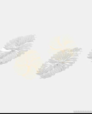 Aldo cercei CAMELLIAA.102