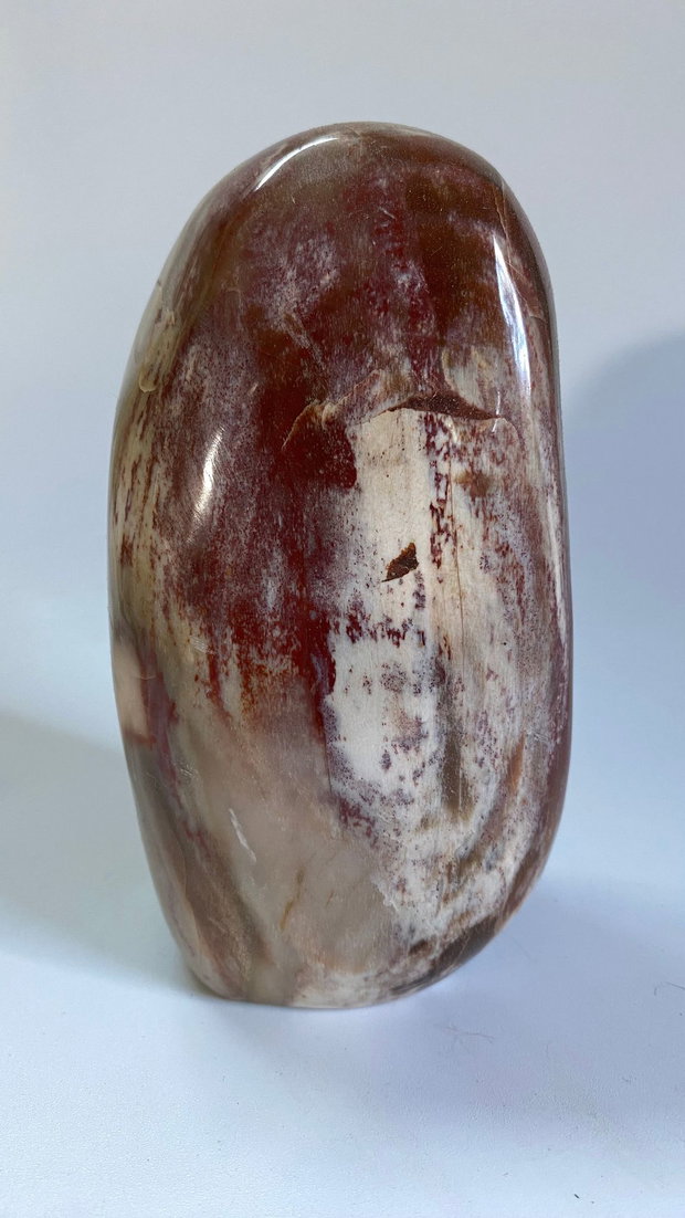 Lemn Pietrificat (Fosilizat) - Sculptura piatra semipretioasa