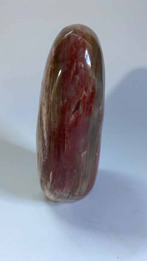 Lemn Pietrificat (Fosilizat) - Sculptura piatra semipretioasa