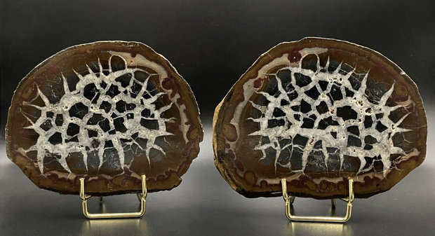 Septaria - Nodul sectionat