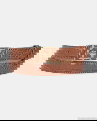 Elisabetta Franchi curea culoarea maro, CT47S56E2