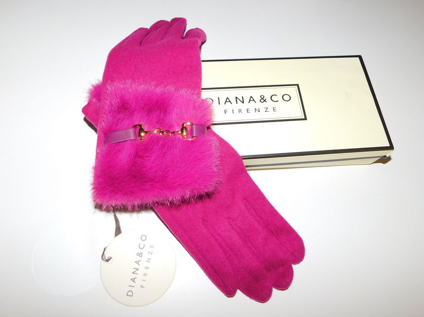 Diane & Co Firenze , geanta noua eleganta , cadou  manusi noi acelasi brand si esarfa noua lina