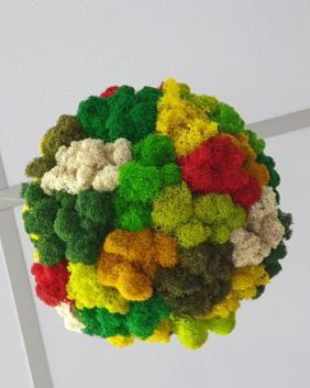 Glob cu licheni multicolor