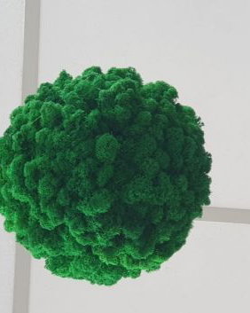 Glob cu licheni verde