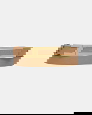 Elisabetta Franchi curea culoarea bej, CT76S56E2