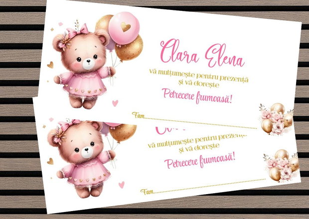 Plicuri bani botez gemeni Minnie & Mickey mouse