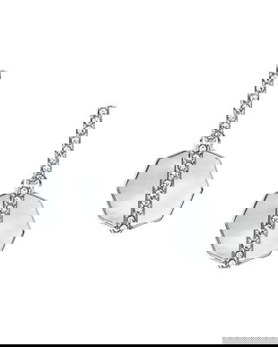 Fossil cercei JF04911040