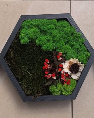 Set 3 Hexagoane cu mușchi, plante și licheni stabilizați