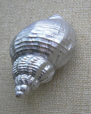 Melc (F-SCO2)