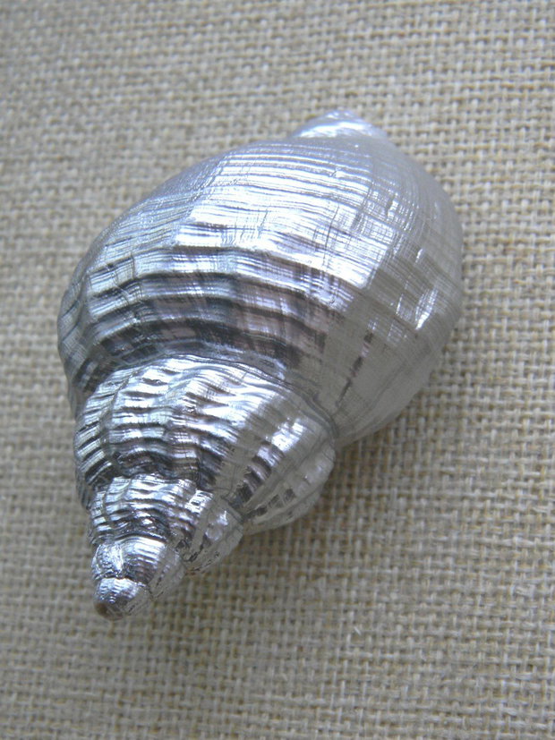 Melc (F-SCO2)