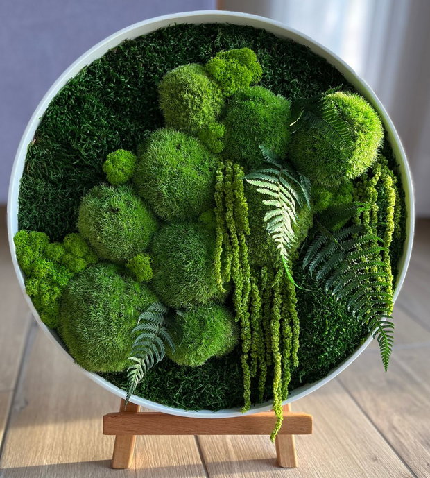 Cerc din licheni peisaj Ø 40 cm