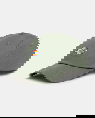 Dickies sapca culoarea negru, cu imprimeu