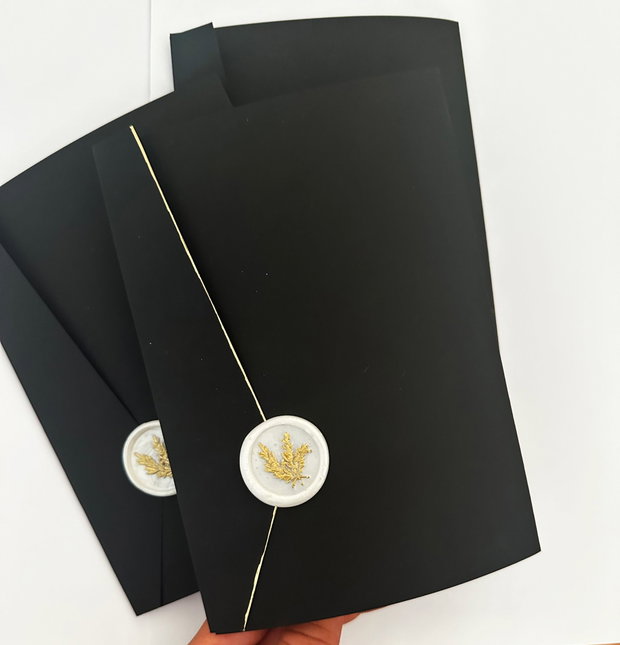 10 Plicuri pentru invitatii