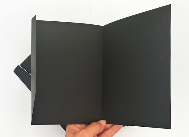 10 Plicuri pentru invitatii