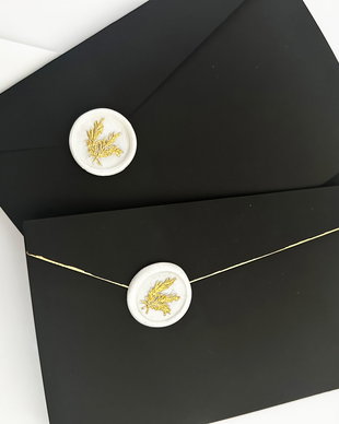 10 Plicuri pentru invitatii