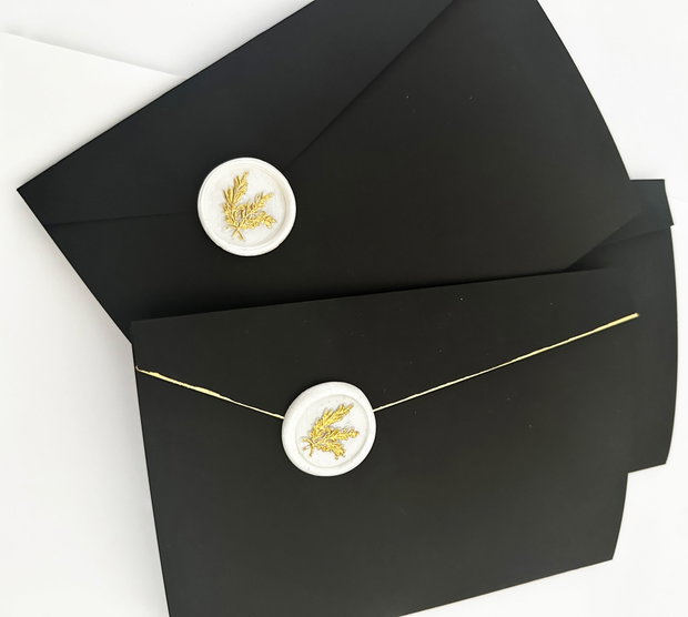 10 Plicuri pentru invitatii