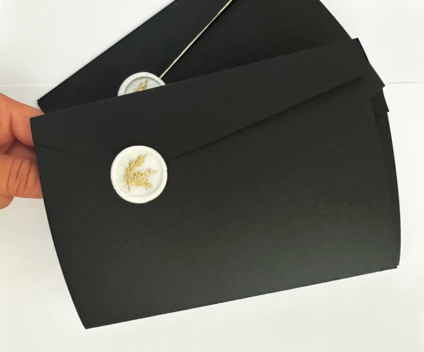 10 Plicuri pentru invitatii