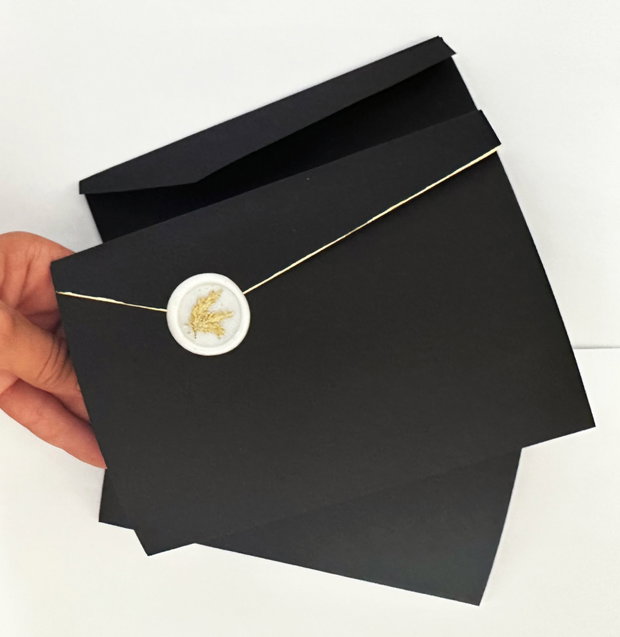 10 Plicuri pentru invitatii