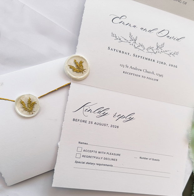 Invitatie de Nunta stil Plic