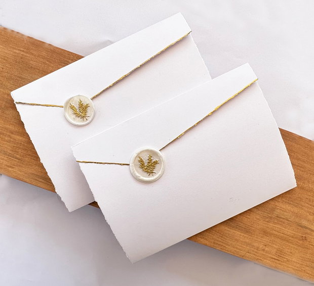 Invitatie de Nunta stil Plic