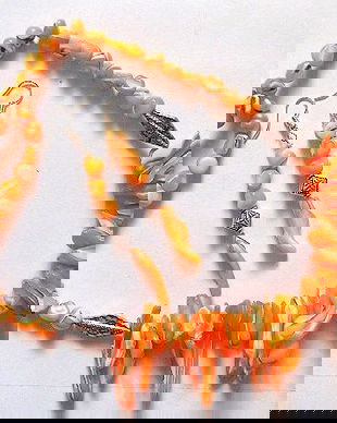 Set cu sidef portocaliu 48916