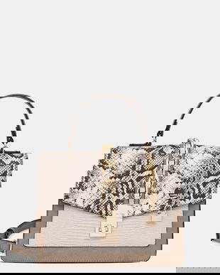 Aldo poseta culoarea bej, AOILLE.244