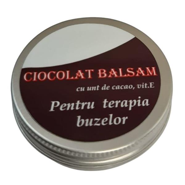 Balsam de Buze cu Unt de Cacao si Vitamina E - Favisan Ciocolat Balsam pentru Terapia Buzelor, 20 ml