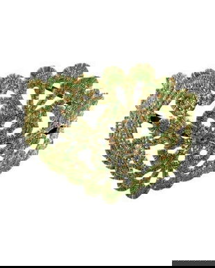 Cordeluta diadema brodata