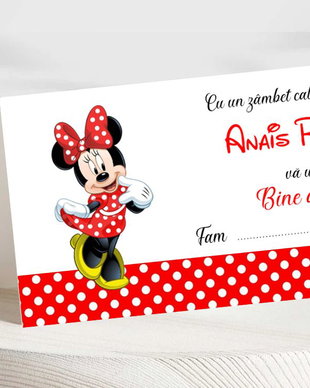 Plicuri bani  botez Minnie mouse