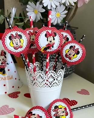 Set paie decorate Minnie mouse rosie