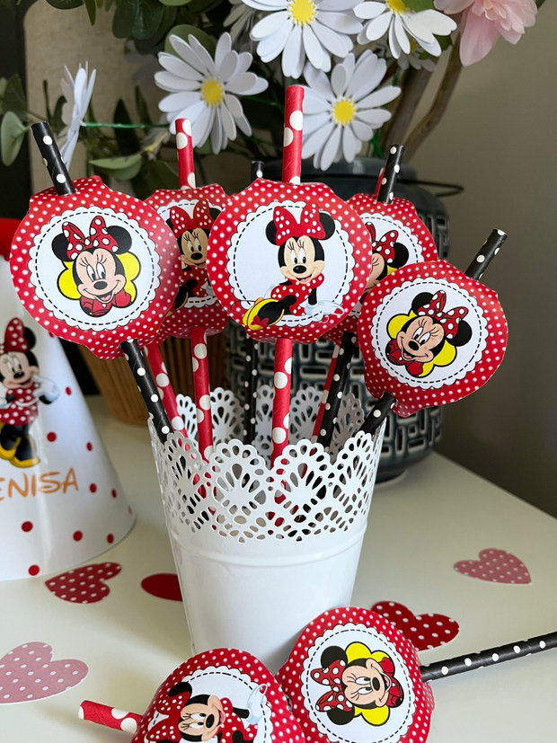 Set paie decorate Minnie mouse rosie