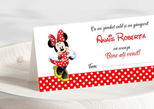 Set paie decorate Minnie mouse rosie