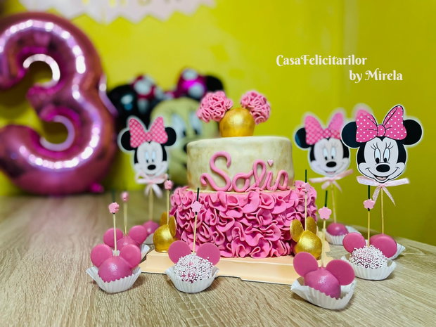 Plicuri bani botez Minnie mouse