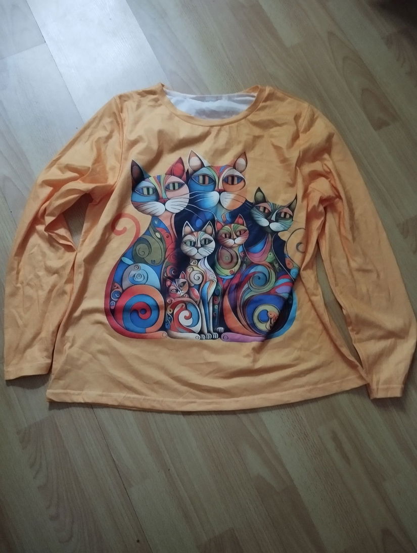 Bluza