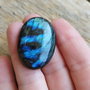 Cabochon labradorit, 36x25x7.5 mm