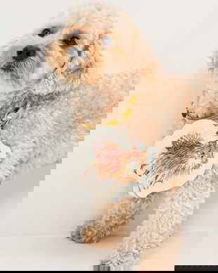 Medicine breloc culoarea bej