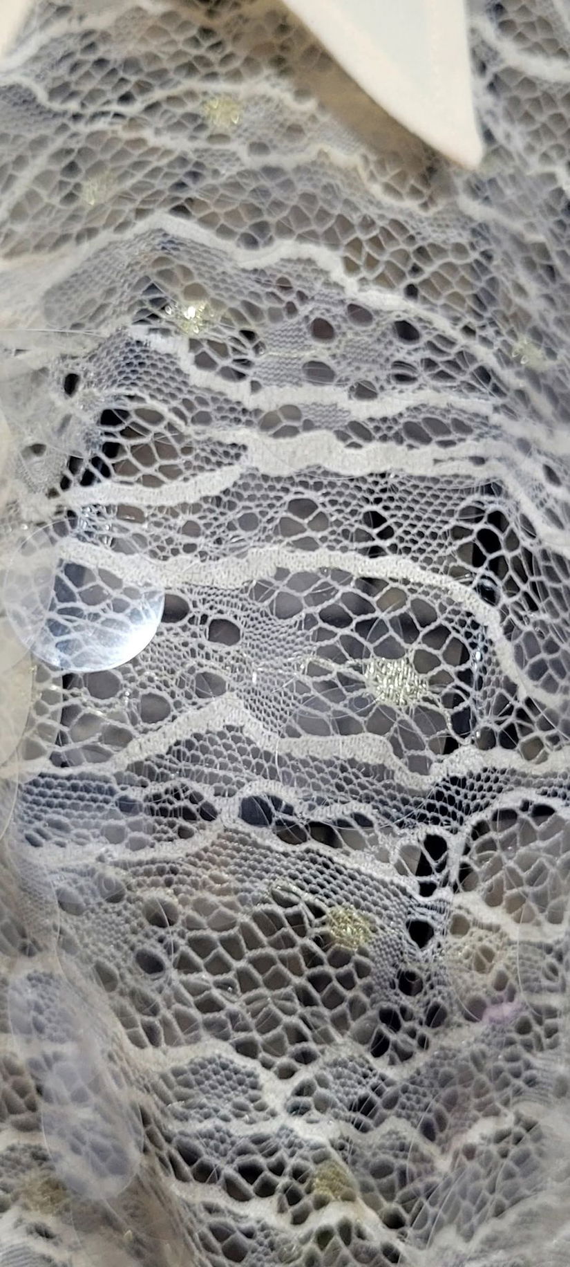 Camase eleganta