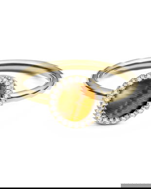 Daniel Wellington inel DW00401211