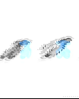 Tous cercei ICON COLOR LGG 1004492100