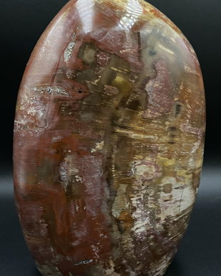 Lemn Pietrificat (Fosilizat) - Sculptura piatra semipretioasa