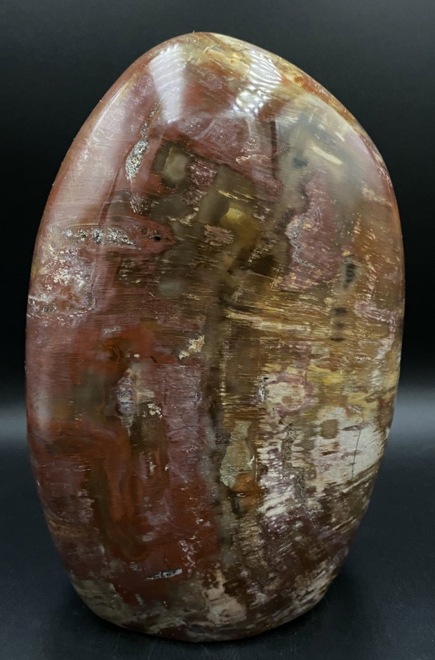 Lemn Pietrificat (Fosilizat) - Sculptura piatra semipretioasa
