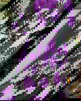 Rochie versatila mărime 44-48