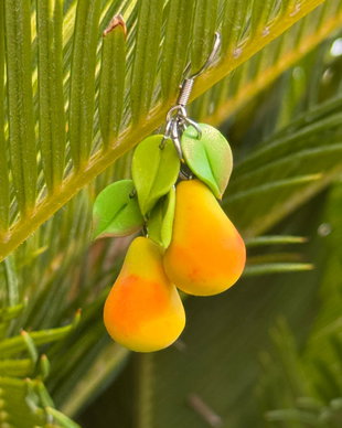 Cercei Golden Pear