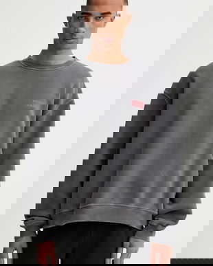 American Vintage hanorac de bumbac culoarea gri, cu imprimeu, MPLI03B