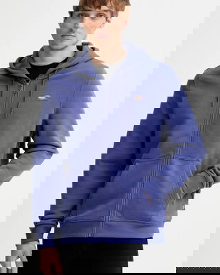 Dickies bluză culoarea violet, cu glugă, uni, DK0A4XD3