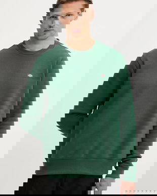 Dickies bluză culoarea verde, uni, DK0A4XCE