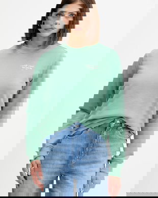 Tommy Jeans hanorac de bumbac culoarea verde, cu imprimeu, DW0DW21960