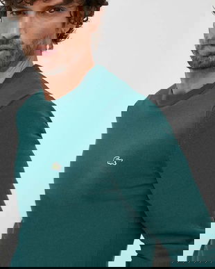 Lacoste pulover de bumbac culoarea verde, light